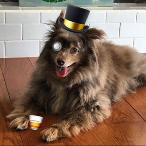 Meet your Posher, Brad